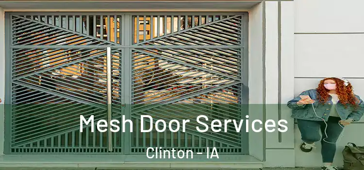 Mesh Door Services Clinton - IA